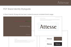 Attesse Brand identity styleguide