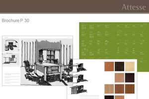 Attesse Brand identity styleguide